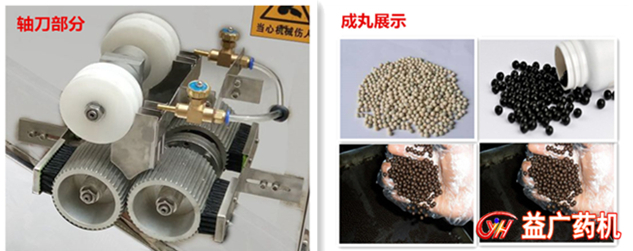 全自動制丸機(jī)帶拋光一體細(xì)節(jié)圖